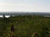 tn_185-overlook-of-bird-santuary